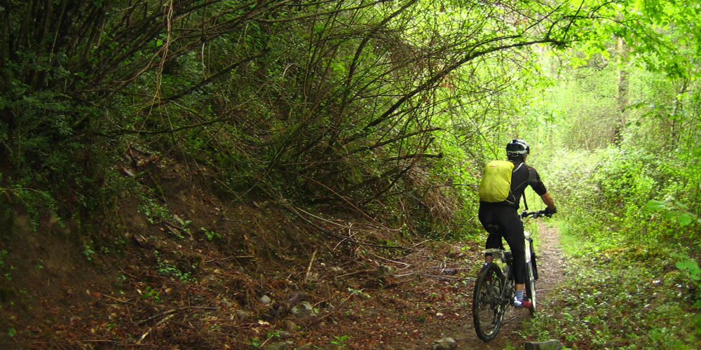 Sendero entre Badain y Laspuña