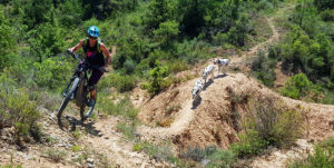 ruta 089 Loma Quejigal