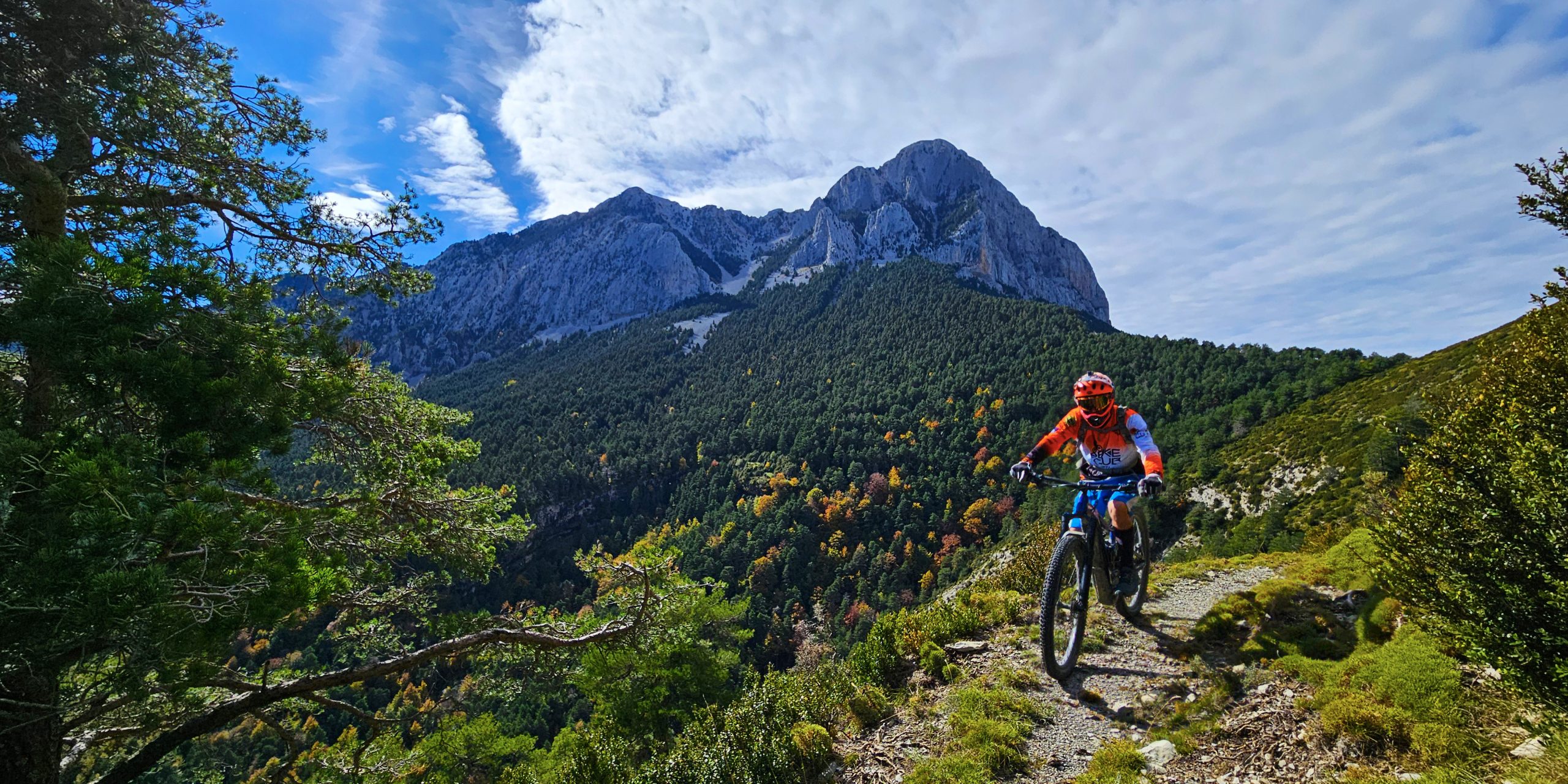 el último onso. Peña Montañesa