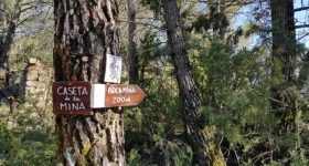 La MIna de Palo