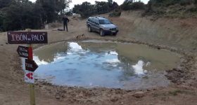 el "ibon de Palo"