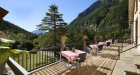 Camping Pineta