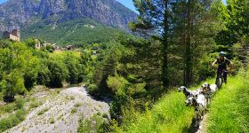 Caminos cerca de Badain