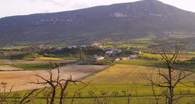 Paules de Sarsa