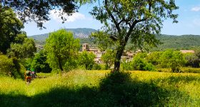 colungo